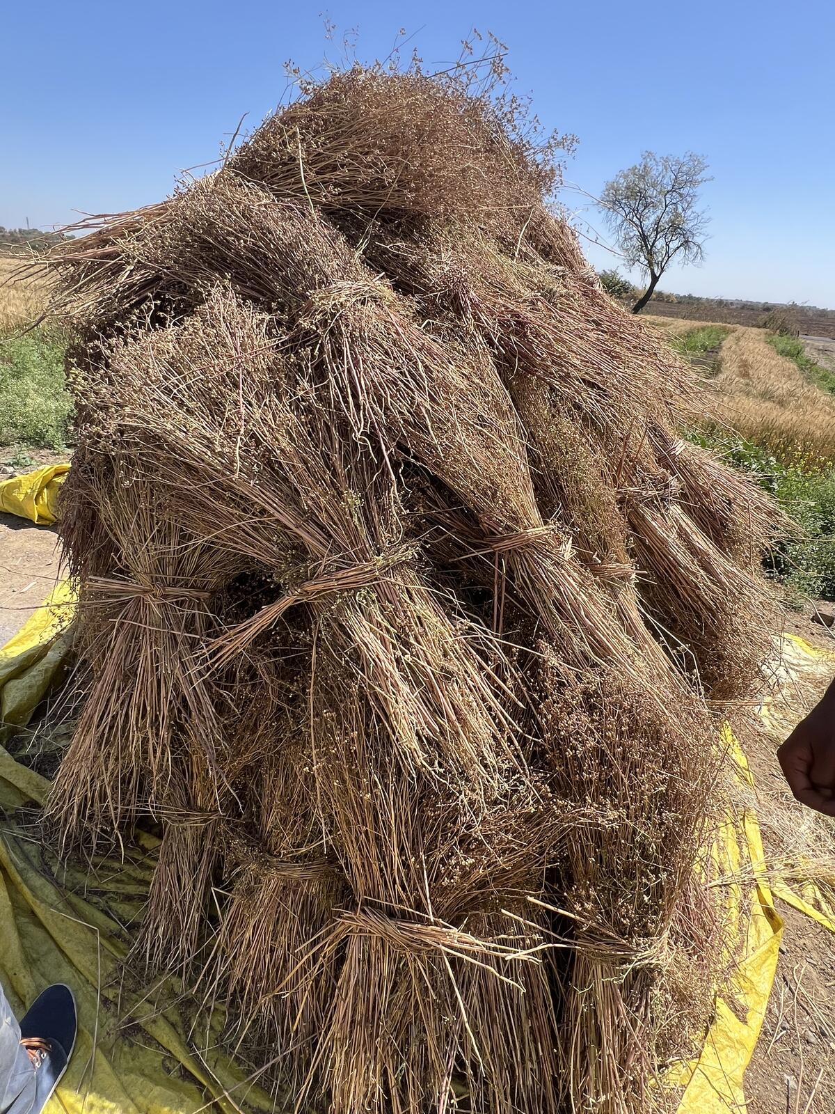 French Carbon factory floor with industrial equipment